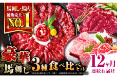 【全12回定期便】熊本県産 馬刺し 計850g ( 赤身 500g 霜降り中トロ 250g 三角バラ 100g ) 専用醤油付き熊本 中トロ 国産 冷凍 馬肉 馬刺 ヘルシー 希少 真空 パック 豪華 小分け【株式会社 利他フーズ】[YBX024] 
