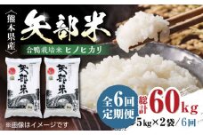 【全6回定期便】令和6年産  矢部米 合鴨栽培米 10kg (5kg×2袋) お米 合鴨農法 合鴨米 熊本産 定期便【一般社団法人 山都町観光協会】[YAB037] 
