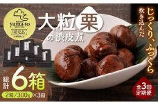 【全3回定期便】【7月～9月冷蔵配送】栗 渋皮煮 甘露煮 大粒 計600g 150g × 2袋 × 2箱 3Lサイズ 熊本県産 山都町産【食彩の里 ふしみ】[YAG012]