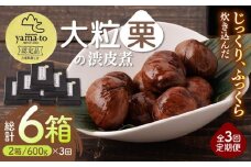 【全3回定期便】【7月～9月冷蔵配送】栗 渋皮煮 甘露煮 大粒 計600g 150g × 2袋 × 2箱 3Lサイズ 熊本県産 山都町産【食彩の里 ふしみ】[YAG012]
