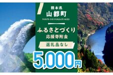 【応援寄附金】熊本県 山都町 ふるさとづくり 返礼品なし ふるさと納税 (5,000円分)[YZZ013] 