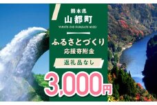 【応援寄附金】熊本県 山都町 ふるさとづくり 返礼品なし ふるさと納税 (3,000円分)[YZZ012] 