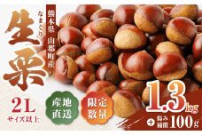 【限定数量】生栗 1.3kg 産地直送 山都町産 熊本県産 栗 甘栗 くり【アグリ冬野】[YCD001] 