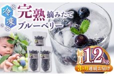 【全3回定期便】冷凍ブルーベリー 計1.2kg ( 400g × 3パック ) 熊本県産 山都町産 ブルーベリー フルーツ スムージー 果物 小分け 国産【清和の恵み工房】[YAA004] 