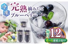 【全6回定期便】冷凍ブルーベリー 計1.2kg ( 400g × 3パック ) 熊本県産 山都町産 ブルーベリー フルーツ スムージー 果物 小分け 国産【清和の恵み工房】[YAA005]