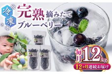 【全12回定期便】冷凍ブルーベリー 計1.2kg ( 400g × 3パック ) 熊本県産 山都町産 ブルーベリー フルーツ スムージー 果物 小分け 国産【清和の恵み工房】[YAA006] 