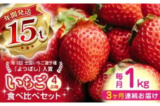 【先行予約】【全3回定期便】【2025年12月より順次発送】いちご 食べ比べ セット 4品種 総計3.0kg ( 250g × 4P × 3回 ) 国産 農園直送 産地直送 熊本県産 山都町産 イチゴ 苺 ストロベリー フルーツ 果物 【なかはた農園】[YBI003] 