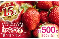 【2025年12月より順次発送】いちご 食べ比べ セット 4品種 計500g ( 250g × 2P ) 国産 農園直送 産地直送 熊本県産 山都町産 イチゴ 苺 ストロベリー フルーツ 果物 【なかはた農園】[YBI001] 
