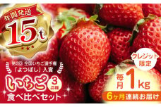 【先行予約】【全6回定期便】いちご 食べ比べ セット 3品種 総計6.0kg ( 250g × 4P × 6回 ) 国産 農園直送 産地直送 熊本県産 山都町産 イチゴ 苺 ストロベリー フルーツ 果物 【なかはた農園】[YBI004]