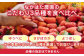 いちご 食べ比べ セット 国産 農園直送 産地直送 熊本県産 山都町産 イチゴ 苺 ストロベリー フルーツ 果物