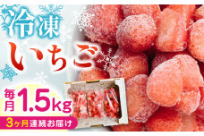 【全3回定期便】 熊本県産 冷凍 いちご 計1.5kg ( 500g × 3P ) 国産 農園直送 産地直送 熊本県産 山都町産 イチゴ 苺 ストロベリー フルーツ 果物 【なかはた農園】[YBI018] 