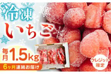 【全6回定期便】【数量限定】 熊本県産 冷凍 いちご 計1.5kg ( 500g × 3P ) 国産 農園直送 産地直送 熊本県産 山都町産 イチゴ 苺 ストロベリー フルーツ 果物 【なかはた農園】[YBI019]