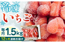 【全12回定期便】熊本県産 冷凍 いちご 計1.5kg ( 500g × 3P ) 国産 農園直送 産地直送 熊本県産 山都町産 イチゴ 苺 ストロベリー フルーツ 果物 【なかはた農園】[YBI020] 