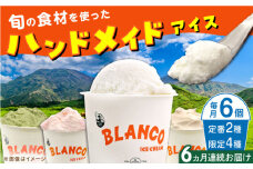 【全6回定期便】ハンドメイドアイスクリーム 食べ比べ 6個セット ( 6種 × 各1個 ) 詰め合わせ アイスクリーム ジェラート 熊本 山都町 アイス【BLANCO ICE CREAM】[YCM003] 