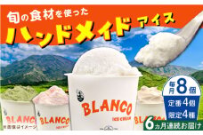 【全6回定期便】ハンドメイドアイスクリーム 6種 食べ比べ  8個セット 詰め合わせ アイスクリーム ジェラート 熊本 山都町 アイス【BLANCO ICE CREAM】[YCM007] 