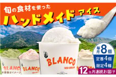 【全12回定期便】ハンドメイドアイスクリーム 6種 食べ比べ  8個セット 詰め合わせ アイスクリーム ジェラート 熊本 山都町 アイス【BLANCO ICE CREAM】[YCM008] 