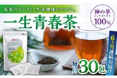 【全6回定期便】一生青春茶 30包 サプリ サプリメント 神の草 日本山人参 ヒュウガトウキ ティーバッグ【ひなたふぁーむ】[YBG006] 