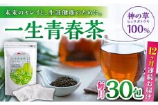 【全12回定期便】一生青春茶 30包 サプリ サプリメント 神の草 日本山人参 ヒュウガトウキ ティーバッグ【ひなたふぁーむ】[YBG007] 