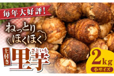 【産地直送】土付き 里芋 約2kg 小サイズ 竹粉育ち 山都町産 熊本産[YCT003] 