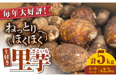 【産地直送】土付き 里芋 約5kg ( 大サイズ 小サイズ 各2.5kg ) 竹粉育ち 山都町産 熊本産[YCT005] 