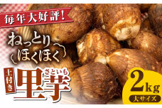 【産地直送】土付き 里芋 約2kg 大サイズ 竹粉育ち 山都町産 熊本産[YCT004] 
