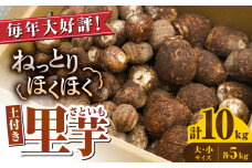 【産地直送】土付き 里芋 約10kg  ( 大サイズ 小サイズ 各5kg ) 竹粉育ち 山都町産 熊本産[YCT006] 