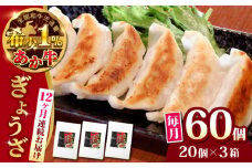 【全12回定期便】熊本県産 あか牛 ぎょうざ 計60個 ( 20個 × 3箱 ) 熊本和牛【有限会社 三協畜産】[YCG094] 