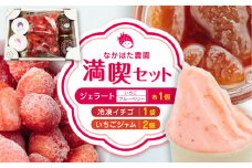【限定数量】なかはた農園満喫セット ( 冷凍 いちご 500g いちごジャム 1個 ジェラート 2種 × 各1個 ) アイス 農園直送 産地直送 熊本県産 山都町産 イチゴ 苺 ストロベリー フルーツ 果物 【なかはた農園】[YBI021] 
