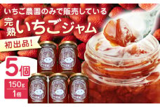 【限定数量】熊本県産 いちごジャム ( 150g × 5個 ) 小分け 国産 農園直送 産地直送 山都町産 イチゴ 苺 ストロベリー フルーツ 果物 【なかはた農園】[YBI022]  