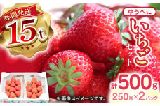 【先行予約】【2025年12月より順次発送】熊本県産 ゆうべに いちご  計500g ( 250g × 2P )  イチゴ 苺 ストロベリー 農園直送 産地直送 熊本県産 山都町産 フルーツ 果物 【なかはた農園】[YBI028] 