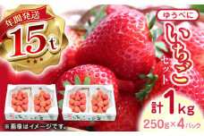 【先行予約】【2025年12月より順次発送】熊本県産 ゆうべに いちご 計1kg ( 250g × 4P ) イチゴ 苺 ストロベリー 農園直送 産地直送 山都町産  フルーツ 果物 【なかはた農園】[YBI029] 