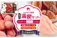 【限定数量】【全3回定期便】なかはた農園満喫セット ( 冷凍 いちご 500g いちごジャム 1個 ジェラート 2種 × 各1個 ) アイス 農園直送 産地直送 熊本県産 山都町産 イチゴ 苺 ストロベリー フルーツ 果物 【なかはた農園】[YBI030] 