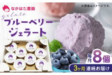【限定数量】【全3回定期便】熊本県産 ブルーベリージェラート 8個 アイス カップ 冷凍 農園直送 産地直送 山都町産 ベリー フルーツ 果物 【なかはた農園】[YBI033] 31000 