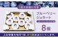 熊本県産 ブルーベリージェラート アイス カップ 冷凍 農園直送 産地直送 山都町産 ベリー フルーツ 果物