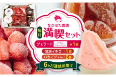 【限定数量】【全6回定期便】なかはた農園満喫セット ( 冷凍 イチゴ 500g いちごジャム 1個 ジェラート 2種 × 各1個 ) アイス 農園直送 産地直送 熊本県産 山都町産 イチゴ 苺 ストロベリー フルーツ 果物 【なかはた農園】[YBI035] 
