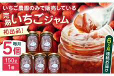 【限定数量】【全6回定期便】熊本県産 いちごジャム ( 150g × 5個 ) 小分け 国産 常温 農園直送 産地直送 山都町産 イチゴ 苺 ストロベリー フルーツ 果物【なかはた農園】[YBI036] 