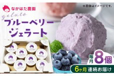 【限定数量】【全6回定期便】熊本県産 ブルーベリージェラート 8個 アイス カップ 冷凍 農園直送 産地直送 山都町産 ベリー フルーツ 果物 【なかはた農園】[YBI038] 