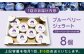 熊本県産 ブルーベリージェラート アイス カップ 冷凍 農園直送 産地直送 山都町産 ベリー フルーツ 果物