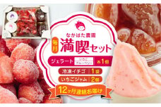 【限定数量】【全12回定期便】なかはた農園満喫セット ( 冷凍イチゴ 500g いちごジャム 1個 ジェラート 2種 × 各1個 ) アイス 農園直送 産地直送 熊本県産 山都町産 イチゴ 苺 ストロベリー フルーツ 果物【なかはた農園】[YBI040] 