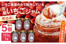 【限定数量】【全12回定期便】熊本県産 いちごジャム ( 150g × 5個 ) 小分け 国産 常温 農園直送 産地直送 山都町産 イチゴ 苺 ストロベリー フルーツ 果物 【なかはた農園】[YBI041] 