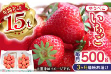 【先行予約】【2025年12月より順次発送】【全3回定期便】熊本県産 ゆうべに いちご  セット 250g×2P 農園直送 産地直送 山都町産【なかはた農園】[YBI045] 