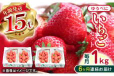 【先行予約】【全6回定期便】熊本県産 ゆうべに いちご セット 250g×4P 国産 農園直送 産地直送 熊本県産 山都町産 いちご イチゴ 苺 ストロベリー フルーツ 果物 【なかはた農園】[YBI048] 