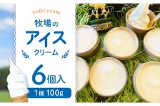 牧場の アイスクリーム セット ( 100g × 6個 ) / アイス ソフトクリーム ノンホモ牛乳 ミルク デザート スイーツ お菓子 熊本 山都町【山の未来舎】[YBV007] 