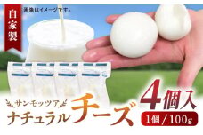 自家製 ナチュラルチーズ サンモッツア 4個 ( 100g × 4個 ) / チーズ モッツァレラチーズ  乳製品 熊本 山都町【山の未来舎】[YBV008]
