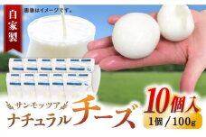 自家製 ナチュラルチーズ サンモッツア 10個 ( 100g × 10個 ) / チーズ モッツァレラチーズ  乳製品 熊本 山都町【山の未来舎】[YBV009] 