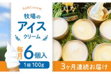 【全3回定期便】牧場の アイスクリーム セット ( 100g × 6個 ) / アイス ソフトクリーム ミルク デザート スイーツ お菓子 熊本 山都町【山の未来舎】[YBV015] 