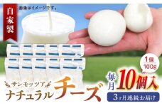 【全3回定期便】自家製 ナチュラルチーズ サンモッツア 10個 ( 100g × 10個 ) / チーズ モッツァレラチーズ  乳製品 熊本 山都町【山の未来舎】[YBV017]