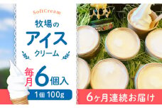 【全6回定期便】牧場の アイスクリーム セット ( 100g × 6個 ) / アイス ソフトクリーム ミルク デザート スイーツ お菓子 熊本 山都町【山の未来舎】[YBV019]