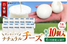 【全6回定期便】自家製 ナチュラルチーズ サンモッツア 10個 ( 100g × 10個 ) / チーズ モッツァレラチーズ  乳製品 熊本 山都町【山の未来舎】[YBV021] 