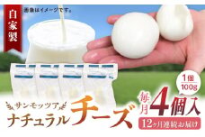 【全12回定期便】自家製 ナチュラルチーズ サンモッツア 4個 ( 100g × 4個 ) / チーズ モッツァレラチーズ  乳製品 熊本 山都町【山の未来舎】[YBV024] 